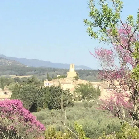Lourmarin,domaine De Casteuse Les Oliviers * Lourmarin