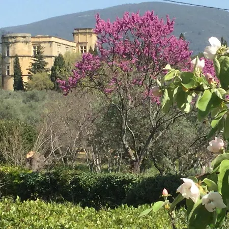 Lourmarin,domaine De Casteuse Les Oliviers