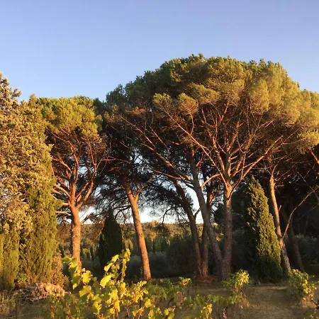 Lourmarin,domaine De Casteuse Les Oliviers Apartment