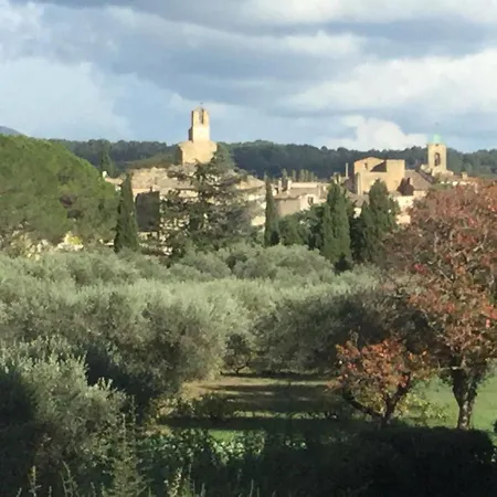 Lourmarin,domaine De Casteuse Les Oliviers Lourmarin