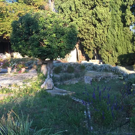 Lourmarin,domaine De Casteuse Les Oliviers
