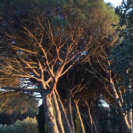 Lourmarin,domaine De Casteuse Les Oliviers Apartment