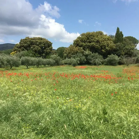 Lourmarin,domaine De Casteuse Les Oliviers Lourmarin